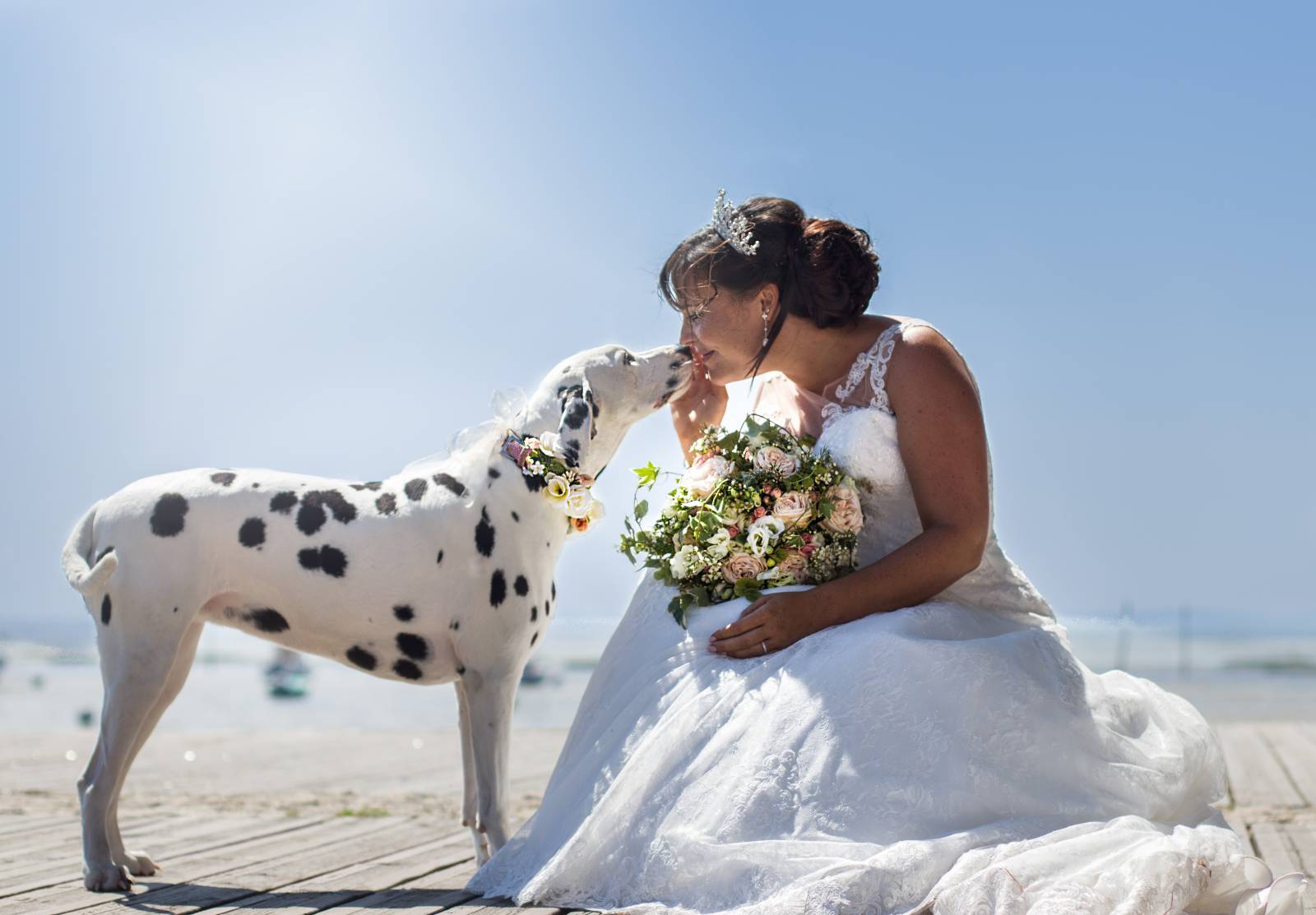 Elle se marie avec son dalmatien